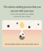 HANYUL Hanyul Pure Artemisia Calming Cleansing Oil 200 ml from Korea by HANYUL
