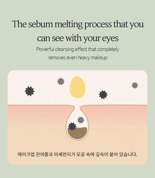 HANYUL Hanyul Pure Artemisia Calming Cleansing Oil 200 ml from Korea by HANYUL