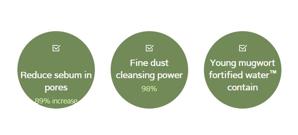 HANYUL Hanyul Pure Artemisia Calming Cleansing Oil 200 ml from Korea by HANYUL