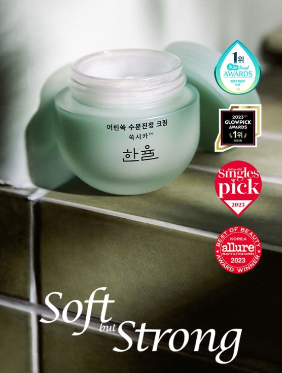 HANYUL Pure Artemisia Calming Water Cream 55ml from Korea by HANYUL