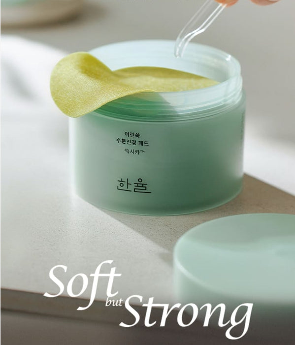 HANYUL Pure Artemisia Calming Pad 60 Sheets from Korea by HANYUL
