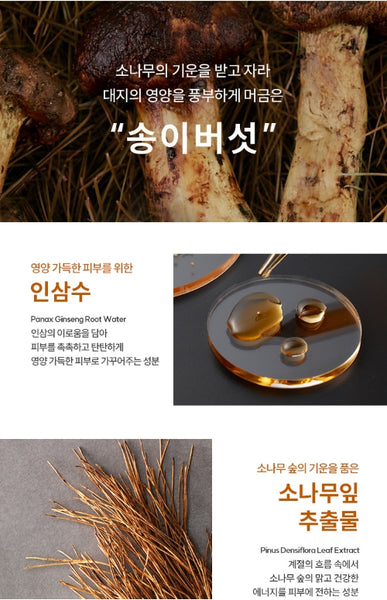 HANYUL SONGDAM Firming Skin 150ml & SONGDAM Firming Emulsion 125ml from Korea by HANYUL