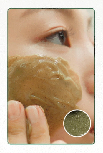 HANYUL Pure Artemisia Deep Clarifying Mask to Foam Cleanser 120ml from Korea by HANYUL