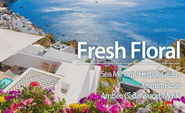 HEADSPA 7 No-wash Shampoo 100ml from Korea by HEADSPA 7