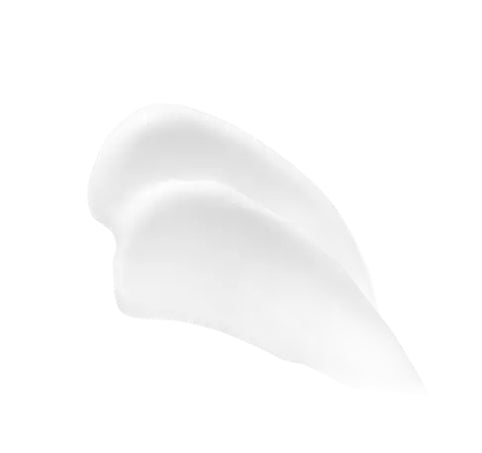 HOLITUAL Concentrate Signature Cream Light 80ml from Korea by HOLITUAL