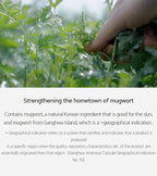 HANYUL Sesal Artemisia Intensive Calming Toner 150ml from Korea by HANYUL