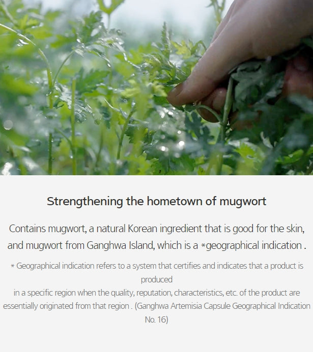 HANYUL Sesal Artemisia Intensive Calming Toner 150ml from Korea by HANYUL