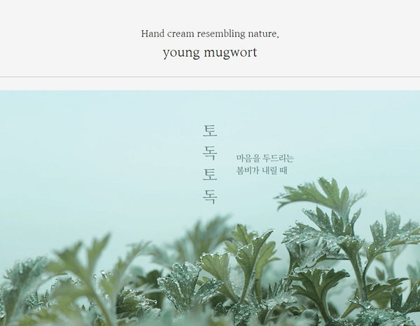 2 x HANYUL Nature In Life Hand Cream - Pure Artemesia 50ml from Korea by HANYUL