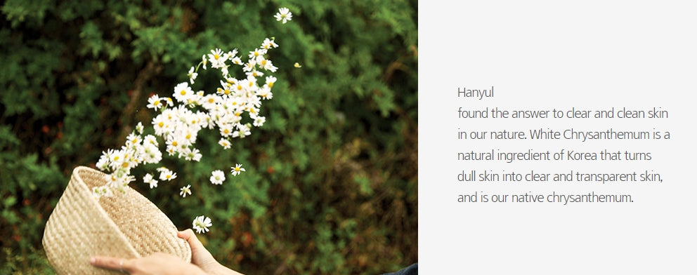 HANYUL Hanyul White Chrysanthemum Radiance Sunscreen cream SPF50+PA++++ 70 ml from Korea by HANYUL