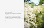 HANYUL Hanyul White Chrysanthemum Radiance Sunscreen cream SPF50+PA++++ 70 ml from Korea by HANYUL