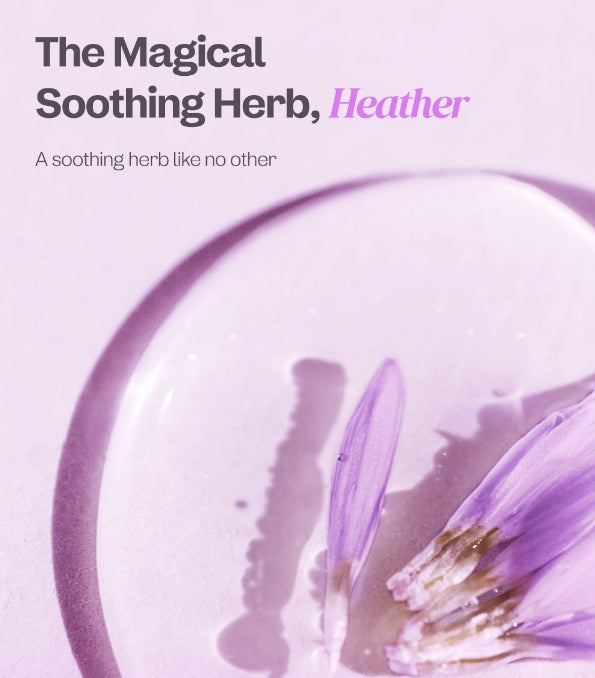 ma:nyo Heather Calming Essence Pad 60ea from Korea by ma:nyo
