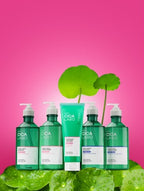 2 x Kerasys CICA LABO Super Aqua Shampoo 750ml from Korea by Kerasys
