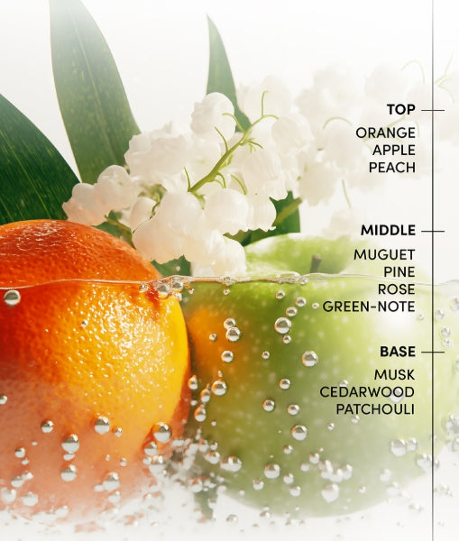 LABO-H Hair Strengthening Treatment Intense Damage Repair 200ml from Korea by LABO-H