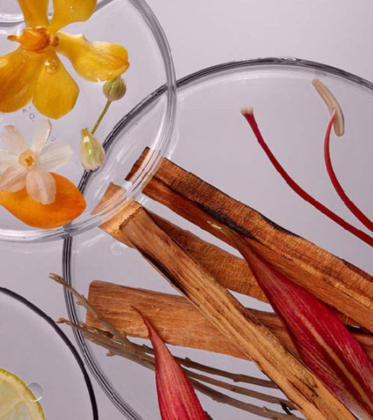 LABO-H Scalp Strengthening Hair Loss Care Treatment Blanche & Woody 200ml from Korea by LABO-H