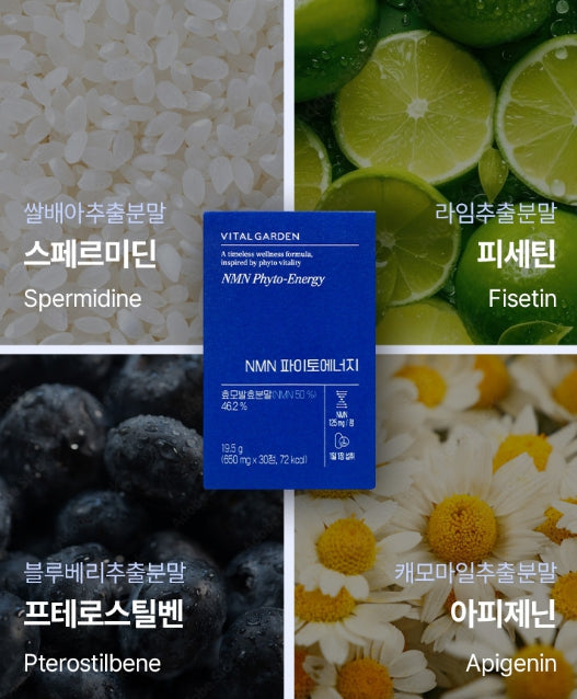 2 x LG H&H Vital Garden NMN Phyto-Energy (30 Tablets) from Korea