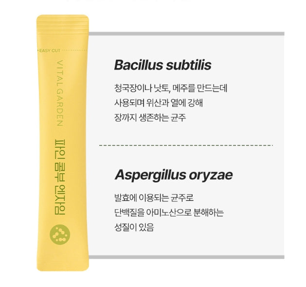 2 x LG H&H Vital Garden Pine Kombu Enzyme (28-day supply) from Korea