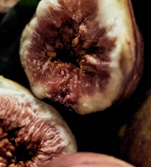 [NEW] 2 X LONGTAKE Black Tea & Fig Softening Hair Oil 40ml from Korea by Longtake