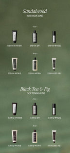 LONGTAKE Sandalwood Intensive Body Lotion 200ml + Hand Cream 50ml from Korea by Longtake
