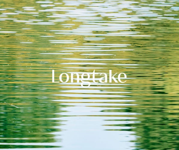 [NEW] 2 X LONGTAKE Sandalwood Intensive Hair Oil 40ml from Korea by Longtake