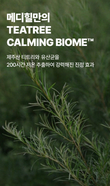 10 x MEDIHEAL Teatree Nude Gel Mask from Korea