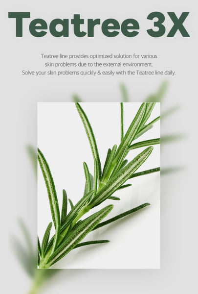 MEDIHEAL The Teatree Calming Powder Wash 50g from Korea