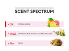 MISSHA Dare Body Lotion (Flower Market) 500ml - Floral Hydration & Soothing Care from Korea