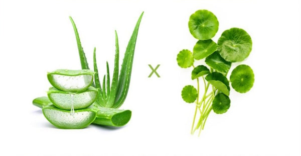 2 x MISSHA Premium Cica Aloe Soothing Gel 300ml - Calming & Hydrating K‑Beauty Gel from Korea