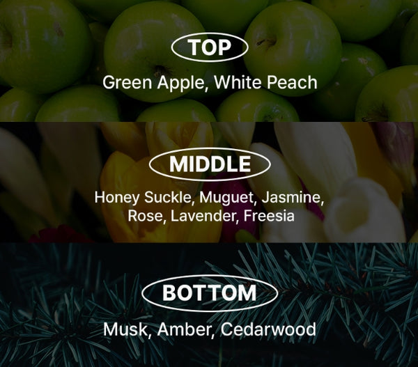 2 X [NEW] Mise-en-scene Professional Damage Care Red Protein Conditioner 680ml from Korea by Mise-en-scene