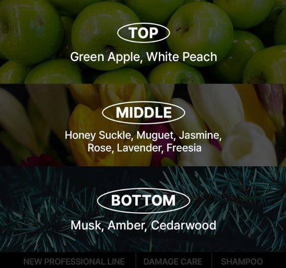 [NEW] Mise-en-scene Professional Damage Care Red Protein Shampoo 1000ml from Korea by Mise-en-scene