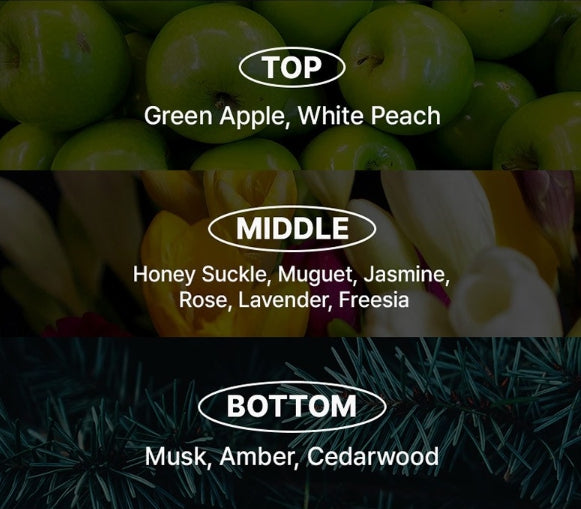 2 X [NEW] Mise-en-scene Professional Damage Care Red Protein Shampoo 680ml from Korea by Mise-en-scene