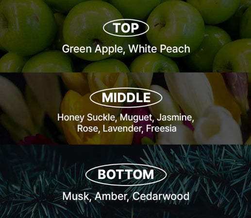 2 X [NEW] Mise-en-scene Professional Damage Care Red Protein Treatment 330ml from Korea by Mise-en-scene