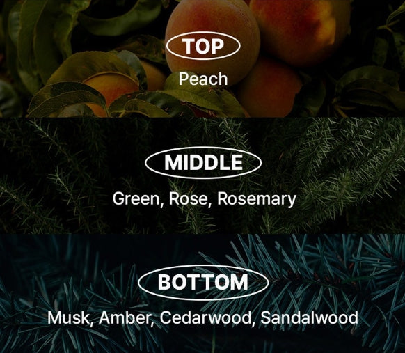 2 X [NEW] Mise-en-scene Professional Scalp Care Green Cica Shampoo 680ml from Korea by Mise-en-scene