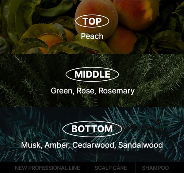 Mise-en-scene Professional Scalp Care Green Cica Shampoo 1000ml from Korea by Mise-en-scene