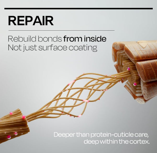 Mise-en-scene Innerplex Hair Strengthener 145g from Korea by Mise-en-scene