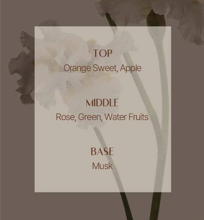 Mise-en-scene Royal Jelly Protein Shampoo 1000ml from Korea