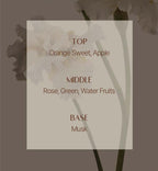 Mise-en-scene Royal Jelly Protein Shampoo 1000ml from Korea