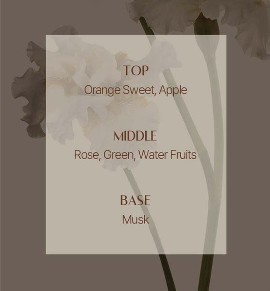 Mise-en-scene Royal Jelly Protein Shampoo 1000ml from Korea