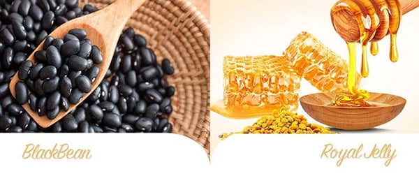 Mise-en-scene Royal Jelly Protein Treatment 1000ml from Korea