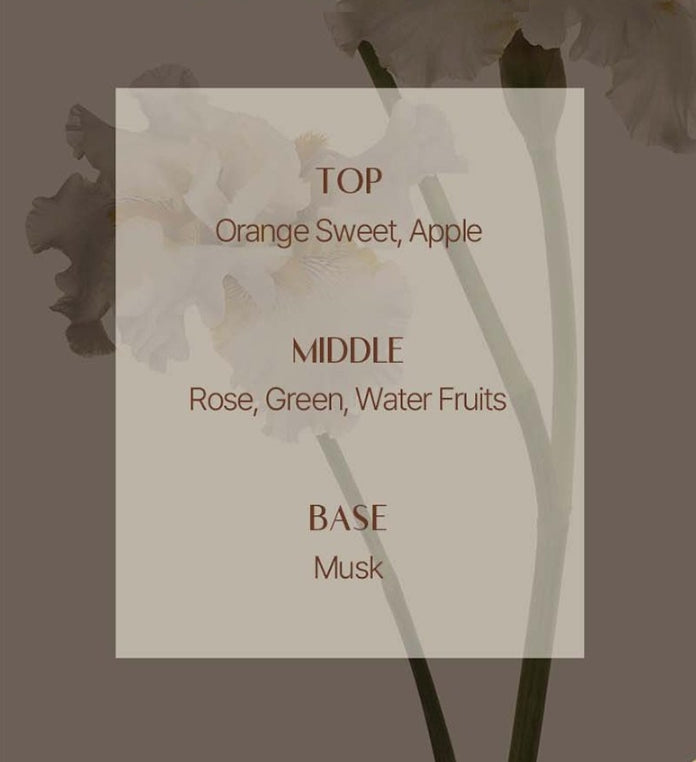 Mise-en-scene Royal Jelly Protein Treatment 1000ml from Korea