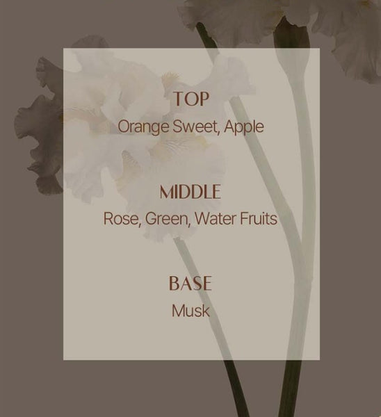 Mise-en-scene Royal Jelly Protein Treatment 1000ml from Korea