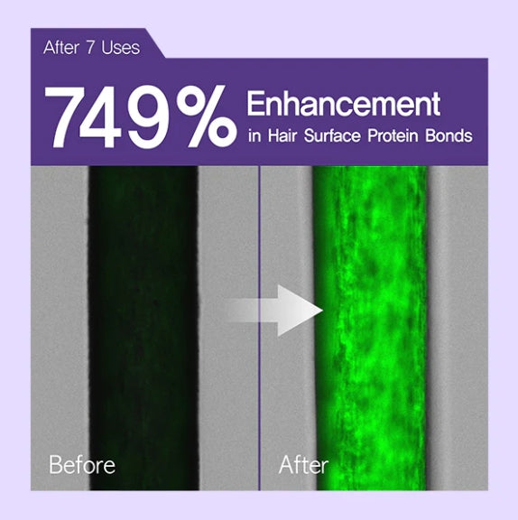 Mise-en-scene Salon 10 Professional Cica Ceramide Oil Serum 60ml from Korea by Mise-en-scene