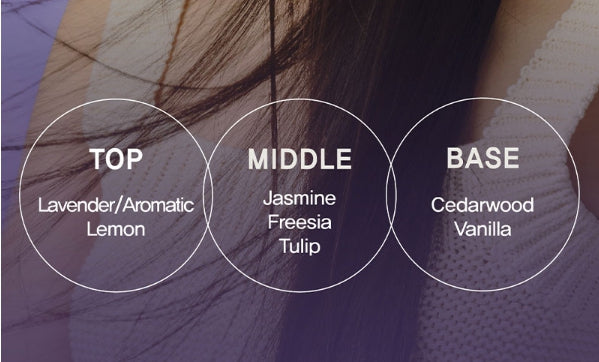 Mise-en-scene Salon 10 Professional Cica Ceramide Oil Serum 60ml from Korea by Mise-en-scene