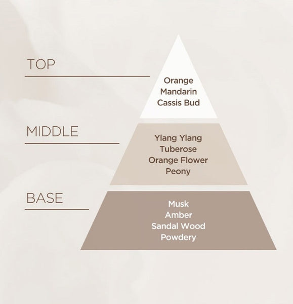 Mise-en-scene Salon 10 Protein Treatment for Damaged Hair 250ml from Korea by Mise-en-scene