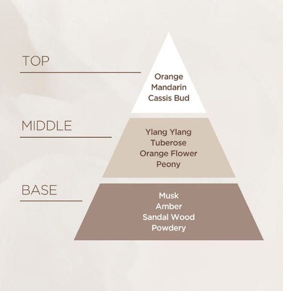 2 X Mise-en-scene Salon 10 No-Wash Ampoule Treatment for Extremely Damaged Hair 200ml from Korea by Mise-en-scene