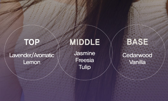 Mise-en-scene Salon 10 Professional Cica Protein Shampoo 480ml from Korea by Mise-en-scene