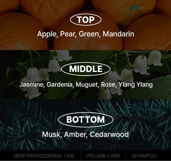 [NEW] Mise-en-scene Professional Volume Care Purple Collagen Shampoo 1000ml from Korea by Mise-en-scene