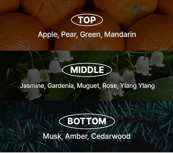 2 X [NEW] Mise-en-scene Professional Volum Care Purple Collagen Treatment 330ml from Korea by Mise-en-scene