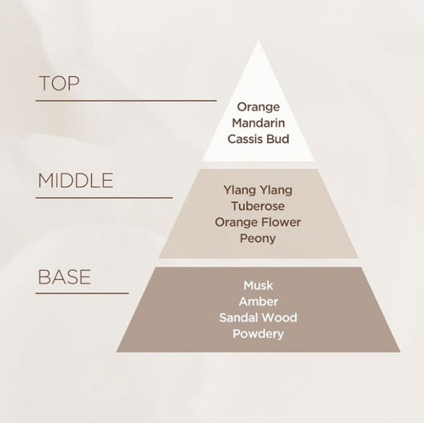 2 X Mise-en-scene Salon 10 Protein Shampoo for Damaged Hair 500ml from Korea by Mise-en-scene