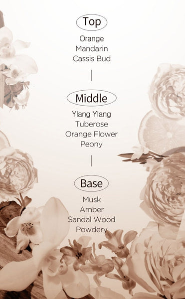 Mise-en-scene Salon 10 Protein Shampoo for Extremely Damaged Hair 990ml from Korea by Mise-en-scene