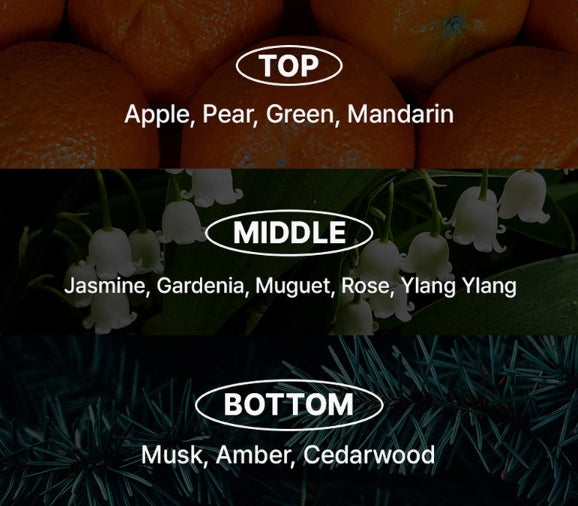 [NEW] Mise-en-scene Professional Volum Care Purple Collagen Shampoo 680ml + Treatment 330ml from Korea by Mise-en-scene